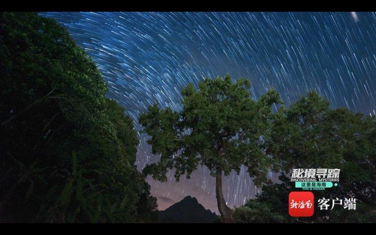 寻找丢失的金币